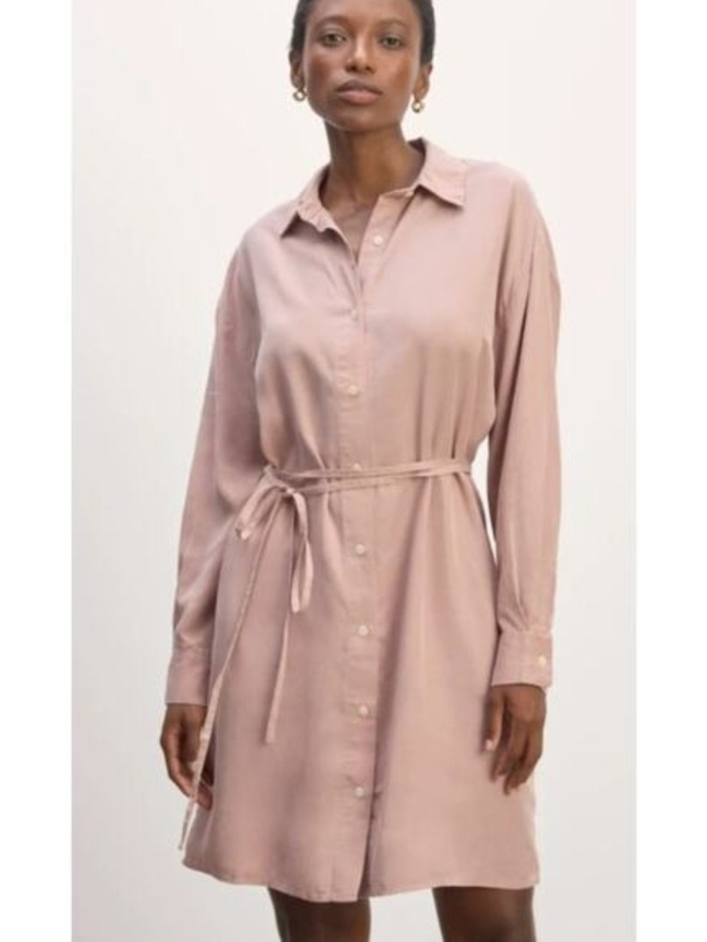 NWT Everlane The Perfect Shirtdress In Butterluxe Sz M